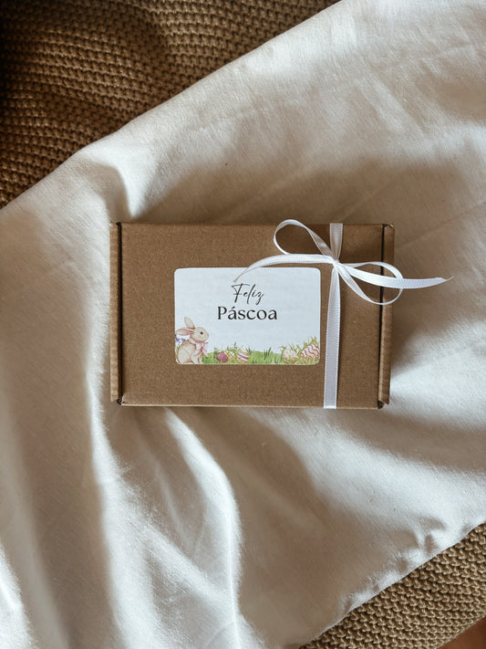 AMBIENTADORES PÁSCOA